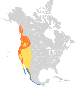 Distribución geográfica del mosquero del Pacífico.