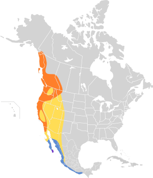 Archivo:Empidonax difficilis map