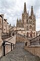 Escaleras a la Catedral -- 2023 -- Burgos, Castilla y León, España