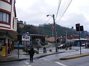 Archivo:Estacionbiotrentalcahuano