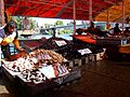 Feriafluvial1
