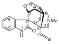 GELSEMINA