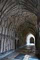 Glouchester cathedral cloisters