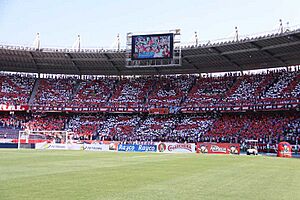 Archivo:Hinchada de Atlético Junior en la tribuna sur del estadio metropolitano 2015-03-23