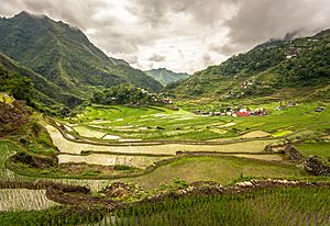 Archivo:Inside the Batad rice terraces