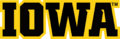 Iowa wordmark