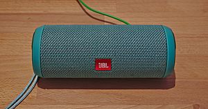 Archivo:JBL Flip 3 bluetooth speaker (DSCF2653)