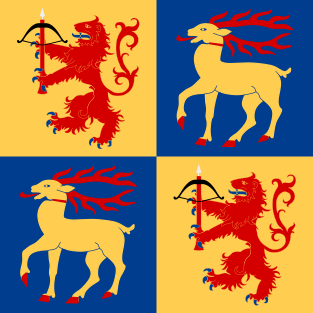 Kalmar län vapenflagga