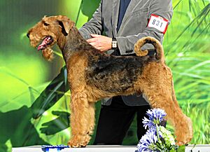 Archivo:Lakeland