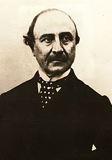 Luigi Carlo Farini (crop).jpg