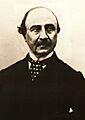 Luigi Carlo Farini (crop)