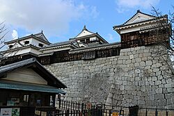 Matsuyama Castle Keep Tower 20170123-1.jpg