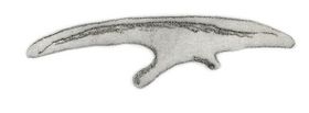 Archivo:Micropachycephalosaurus ilium