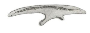 Archivo:Micropachycephalosaurus ilium