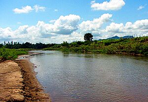 Archivo:Mocorito-Rio EAL