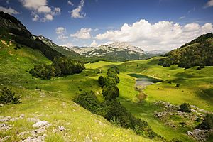 Archivo:Nacionalni park Sutjeska, Zelengora, Orlovačko jezero