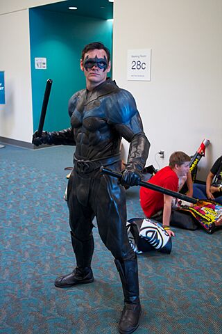 Nightwing cosplay.jpg
