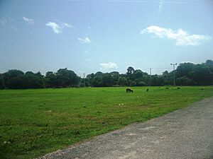 Archivo:Nohuayún, Yucatán (06)