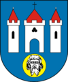 POL Radziejów COA