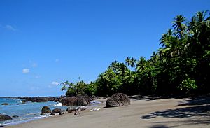 Archivo:Parque Nacional Corcovado