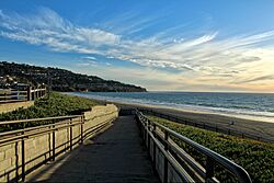 Path Leading to the Shore of Torrance Beach.jpg