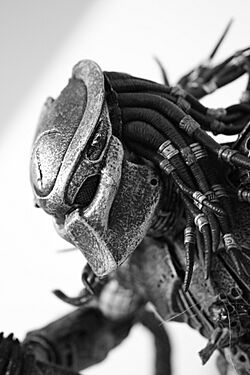 Predator (2020225730).jpg