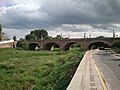 Puente de Lagos.