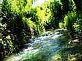 Río Lezuza