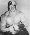 Road Warrior Hawk 1985