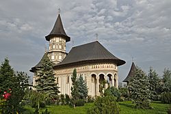 Romania Mănăstirea Cămârzani Main Church4.jpg