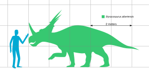 Archivo:Styracosaurus Scale