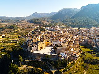 Tivissa vista de Aguila.jpg