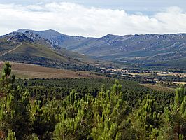 Torneros Valdería Paisaje 20080813.jpg