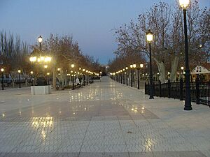 Archivo:Utiel Paseo