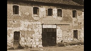 Archivo:Venta