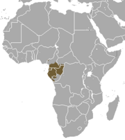 Distribución del gorila occidental