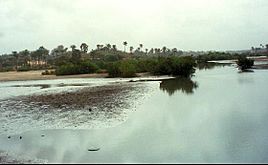 Archivo:1014013-River south of Fajara-The Gambia