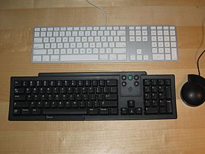 Archivo:Apple Keyboard vs. NeXT ADB keyboard (circa 1992)