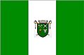 Bandera villota.jpg