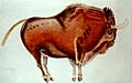 Bisonte de Altamira