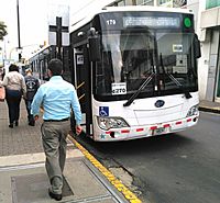 Archivo:Bus Zapote