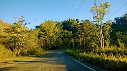 Carretera PR-143, Adjuntas, Puerto Rico (2).jpg