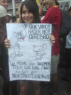 Carteles creados durante la Primavera de Chile 04.jpg