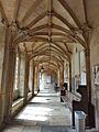 Christ Church Oxford. Cloister 2