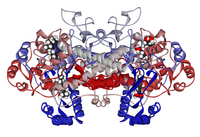 Archivo:Cyclooxygenase-1 with bound ibuprofen 1EQG
