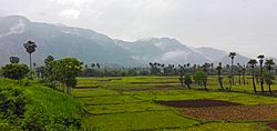 Eastern Ghats view near Sontivanipalem.jpg