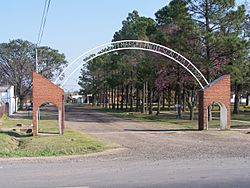 Escalada Arco.jpg