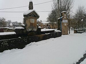 Archivo:Fuente de Abajo nevada