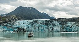 Glaciar Lamplugh, Parque Nacional Bahía del Glaciar, Alaska, Estados Unidos, 2017-08-19, DD 121