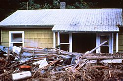 Archivo:Home destroyed by 1980 St Helens eruption1